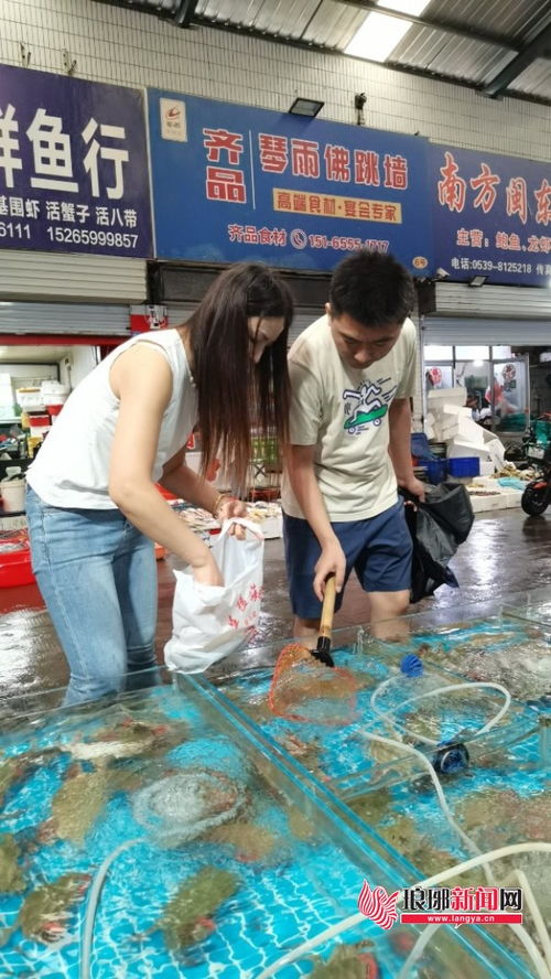 蔬菜市场零售均价环比下降，新鲜水果与梭子蟹齐上市，品味秋日第一口鲜