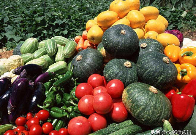 蔬果直达，鲜意到家 智慧配送系统如何赋能农贸市场零售新生态