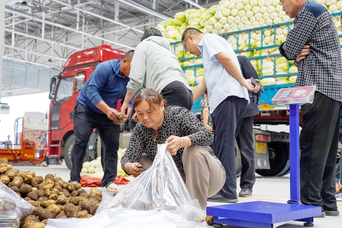 中国农批宿迁市场盛大开业，新鲜食材与水果零售引领健康生活新风尚