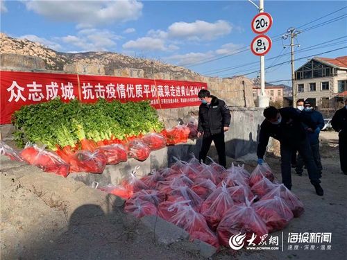 共克时艰 青岛商务在行动 以“丰菜足果”温暖城市居民生活