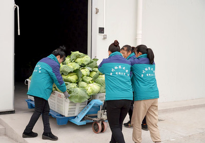 抢“鲜”机！乐山乡镇新增“超大冰箱”，新鲜水果“锁”住原味直达餐桌